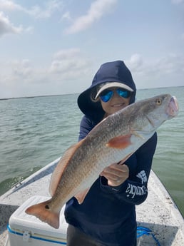 Redfish Fishing in Rockport, Texas