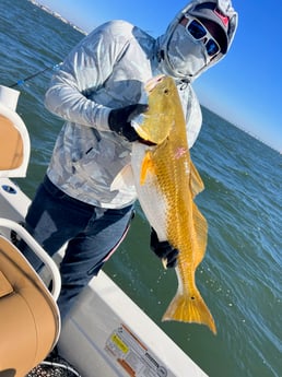 Redfish Fishing in Pensacola, Florida