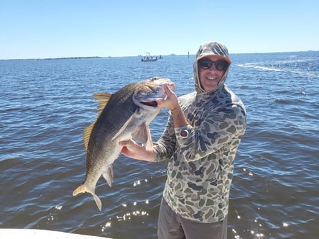 Redfish fishing in Santa Rosa Beach, Florida