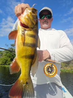 Fishing in Fort Lauderdale, Florida