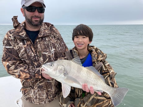 Black Drum fishing in Corpus Christi, Texas