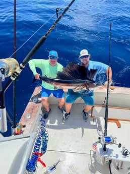 Sailfish fishing in Beaufort, North Carolina