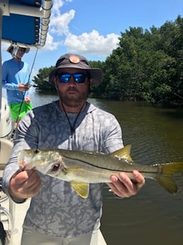 Snook Fishing in St. Petersburg, Florida