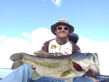 Largemouth Bass fishing in Austin, Texas