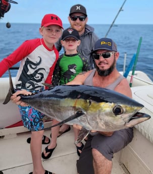 Blackfin Tuna fishing in Clearwater, Florida