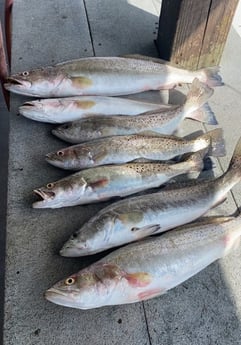 Speckled Trout / Spotted Seatrout fishing in Aransas Pass, Texas