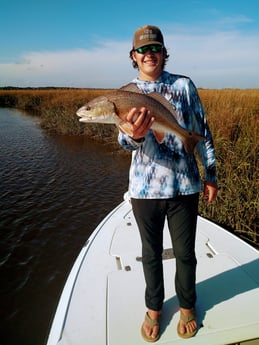 Speckled Trout / Spotted Seatrout fishing in Jacksonville, Florida