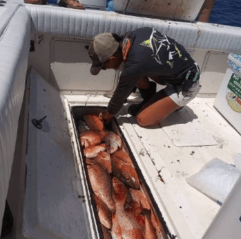 Fishing in St. Petersburg, Florida