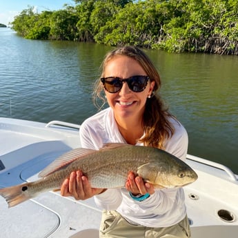 Redfish fishing in Key Largo, Florida