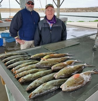 Redfish, Speckled Trout / Spotted Seatrout fishing in Matagorda, Texas