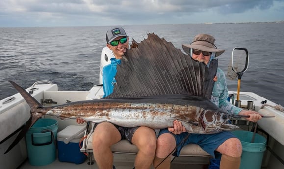 Sailfish Fishing in Boynton Beach, Florida