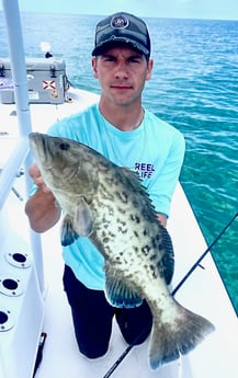 Gag Grouper Fishing in St. Petersburg, Florida