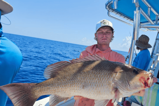 Fishing in St. Petersburg, Florida