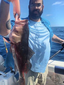 Red Grouper Fishing in Clearwater, Florida