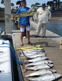 Amberjack, Barracuda, Mahi Mahi / Dorado fishing in Port Orange, Florida