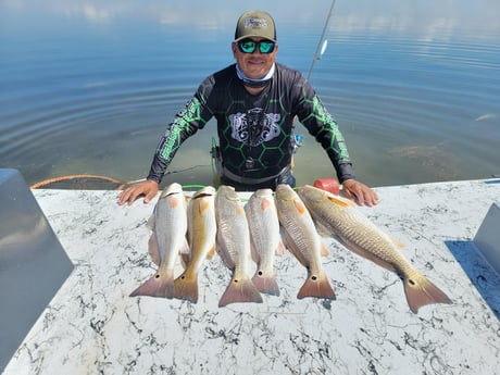 Redfish Fishing in Rio Hondo, Texas