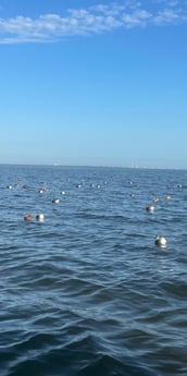 Fishing in Tampa, Florida