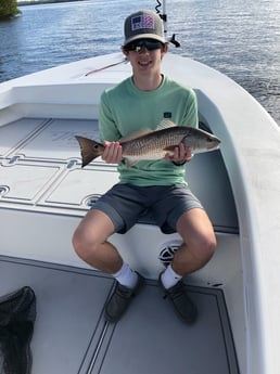 Redfish Fishing in Fort Myers, Florida