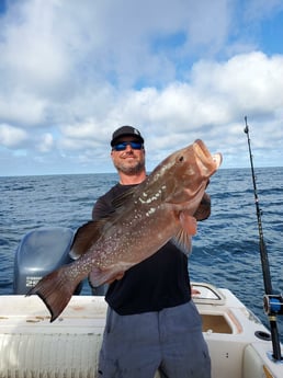 Red Grouper fishing in Clearwater, Florida