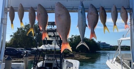 Mutton Snapper, Spanish Mackerel, Yellowtail Snapper Fishing in Marathon, Florida