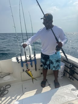 Mahi Mahi Fishing in Destin, Florida