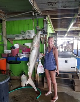 Blacktip Shark fishing in Freeport, Texas