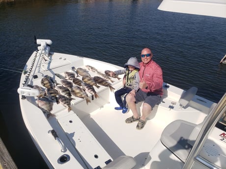 Sheepshead fishing in Pensacola, Florida