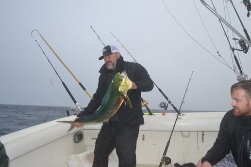 Mahi Mahi / Dorado fishing in Galveston, Texas