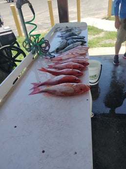 Fishing in Jacksonville, Florida