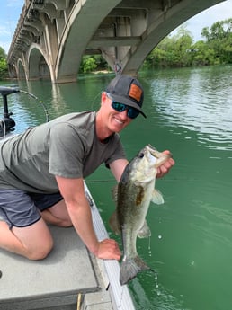 Largemouth Bass fishing in Austin, Texas