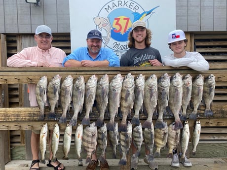 Redfish, Speckled Trout / Spotted Seatrout fishing in Corpus Christi, Texas