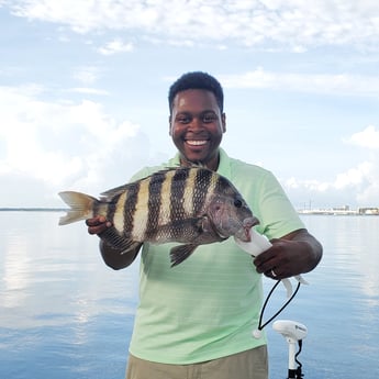 Sheepshead fishing in Mount Pleasant, South Carolina