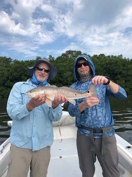 Redfish Fishing in Tarpon Springs, Florida