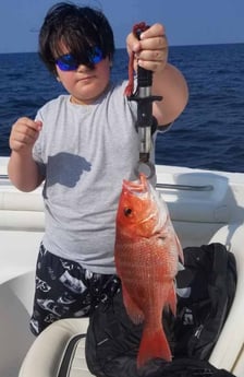 Red Snapper fishing in Destin, Florida