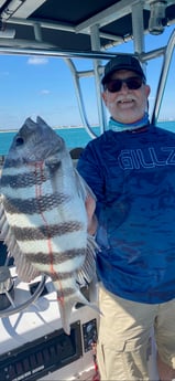 Sheepshead Fishing in Islamorada, Florida