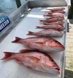 Red Snapper fishing in Destin, Florida