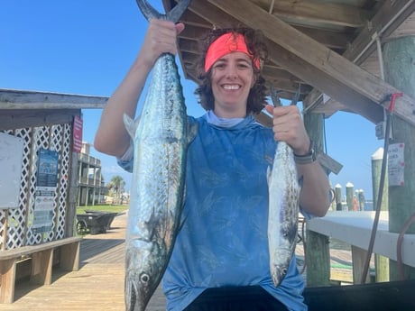 Spanish Mackerel Fishing in Fort Morgan, Alabama