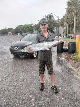 King Mackerel / Kingfish fishing in Jacksonville, Florida