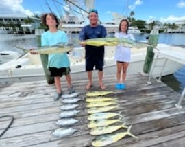 Little Tunny / False Albacore, Mahi Mahi / Dorado fishing in Marathon, Florida