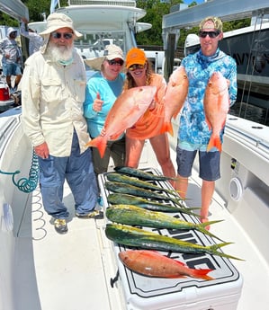 Mahi Mahi, Mutton Snapper Fishing in Islamorada, Florida