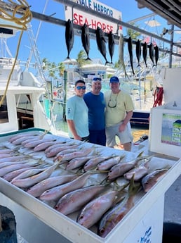 Fishing in Islamorada, Florida