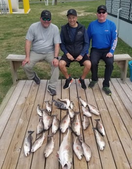 Black Drum, Redfish, Speckled Trout / Spotted Seatrout fishing in Sulphur, Louisiana