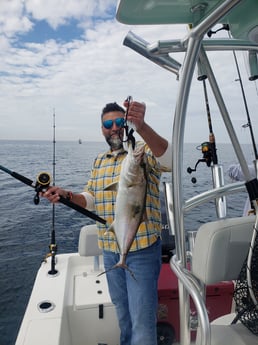 Redfish fishing in Pensacola, Florida