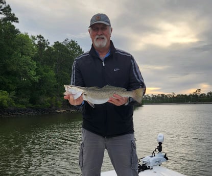 Speckled Trout Fishing in Gulf Shores, Alabama