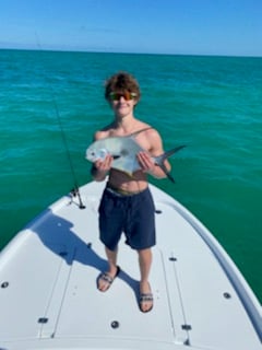 Cobia fishing in Key West, Florida