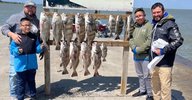 Black Drum Fishing in Rockport, Texas