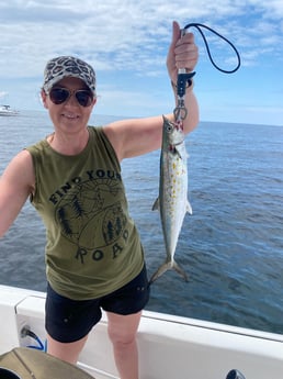 Spanish Mackerel fishing in Panama City, Florida