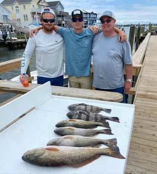 Redfish fishing in Beaufort, North Carolina