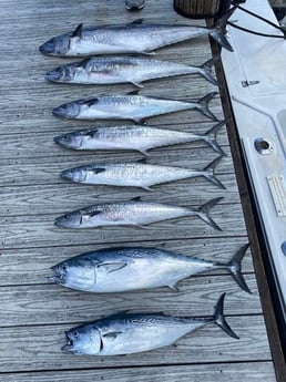 Fishing in Pompano Beach, Florida