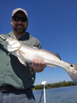 Redfish fishing in New Smyrna Beach, Florida